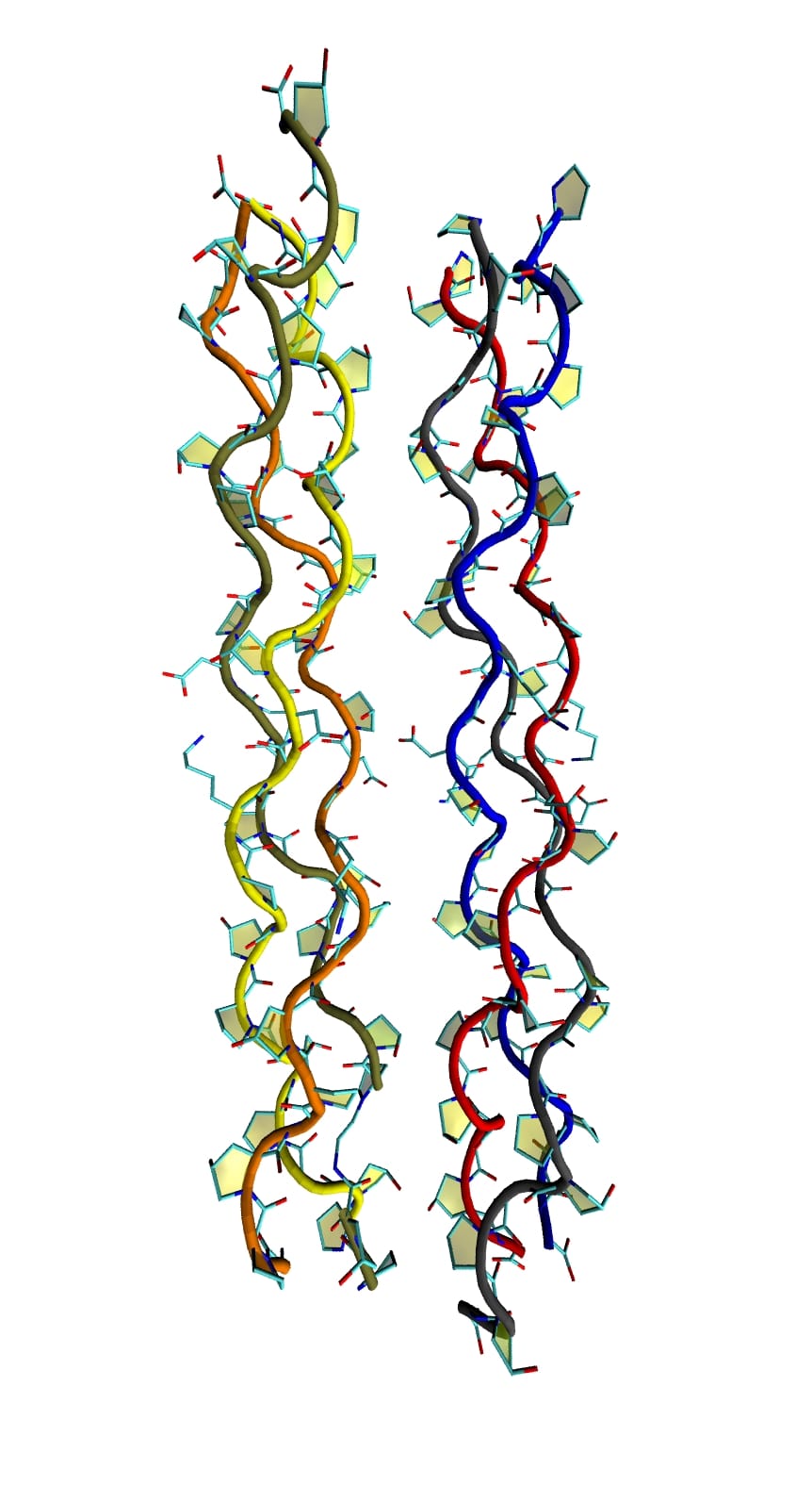 Estructura molecular del colageno - proteina helice triple