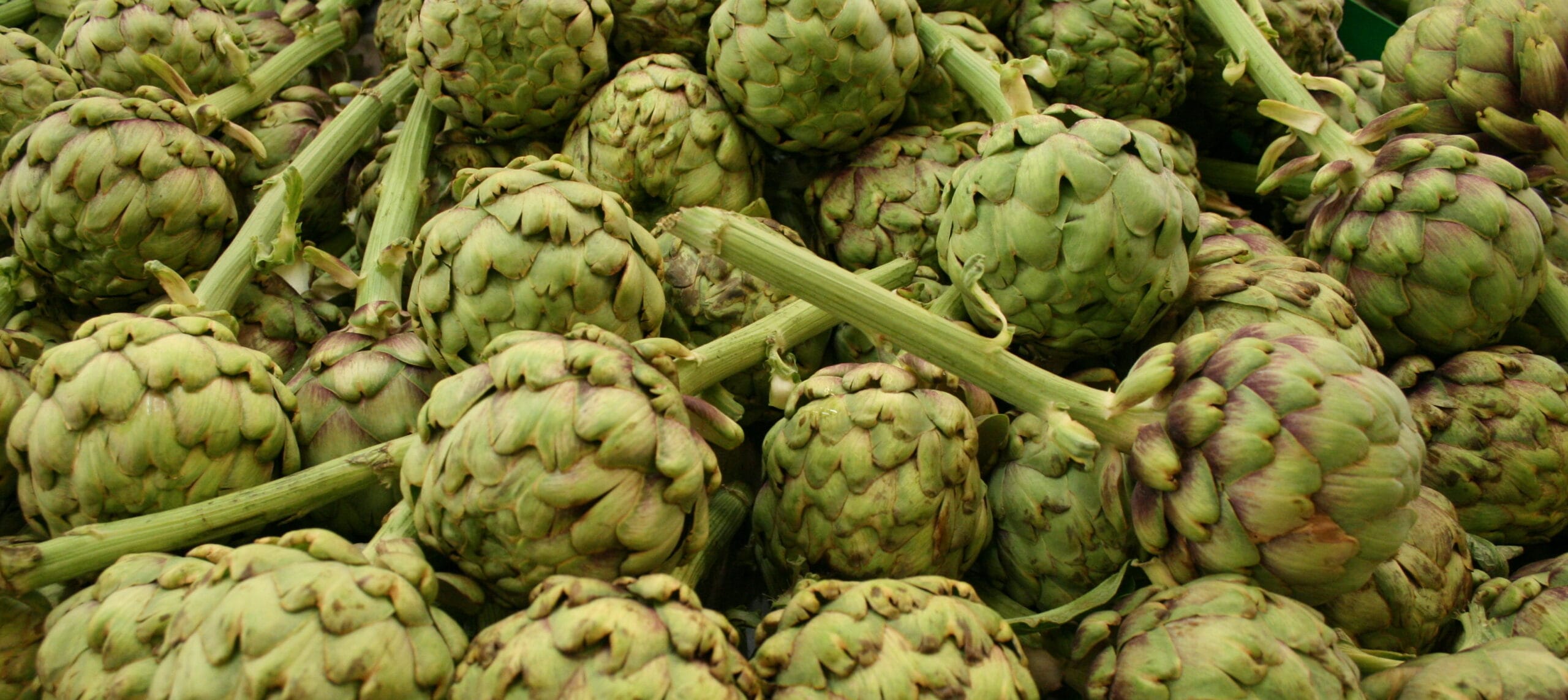 Alcachofas frescas, ingrediente natural usado para apoyar la salud metabólica